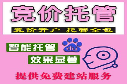 行业领先企业如何运用SEM进行精准营销